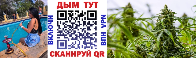 Купить наркоту Псков Псилоцибиновые грибы Alpha-PVP Бошки Шишки ГАШ МЕГА COCAIN Экстази