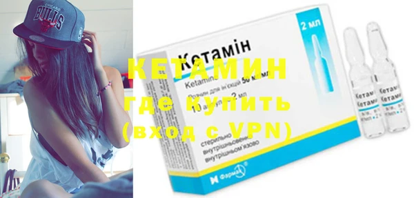 шишки Надым