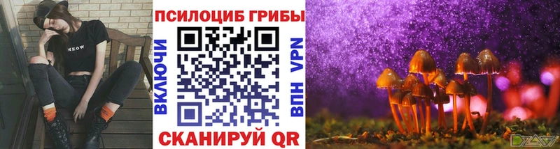 Псилоцибиновые грибы Psilocybine cubensis  мега ссылки  Псков  как найти закладки 
