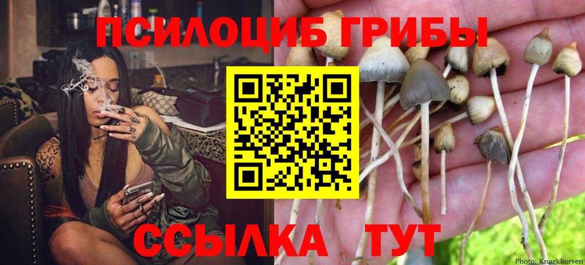 Галлюциногенные грибы прущие грибы  Галлюциногенные грибы ЛСД  как найти наркотики  Псков  Вход с VPN 